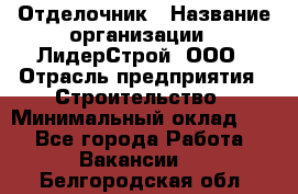 Отделочник › Название организации ­ ЛидерСтрой, ООО › Отрасль предприятия ­ Строительство › Минимальный оклад ­ 1 - Все города Работа » Вакансии   . Белгородская обл.